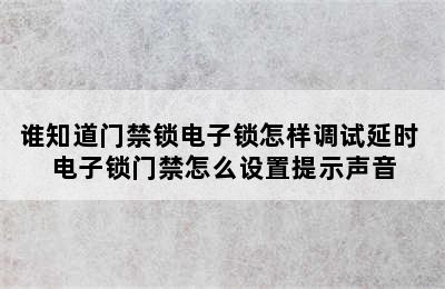 谁知道门禁锁电子锁怎样调试延时 电子锁门禁怎么设置提示声音